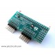 iCM19B - External LCD Port (128x64 GLCD)
