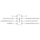 PIC12F683-I/P (PDIP-8)