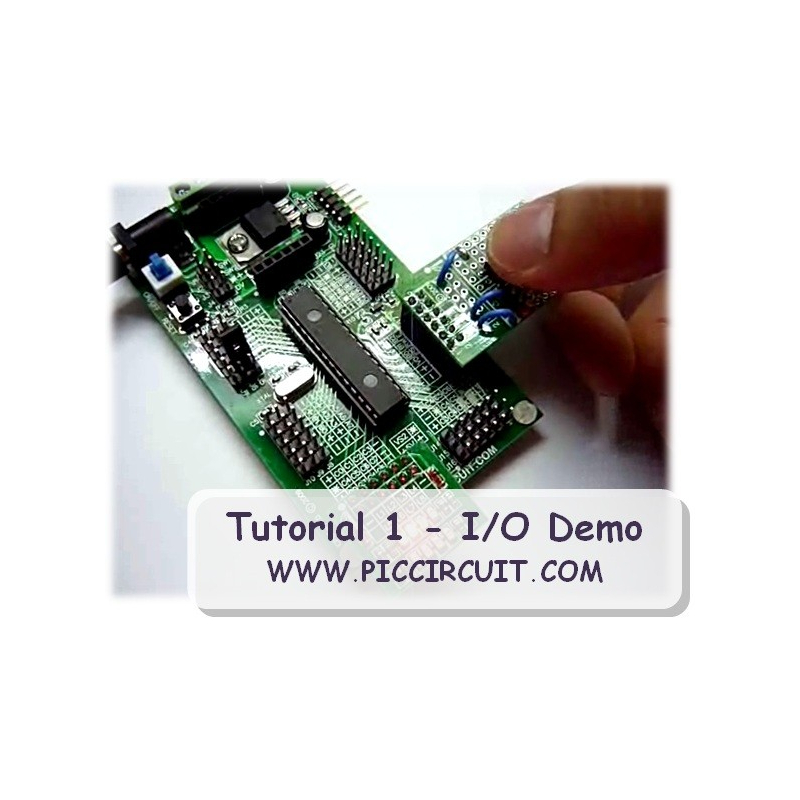 Tutorial 1 - I/O Demo (Free)