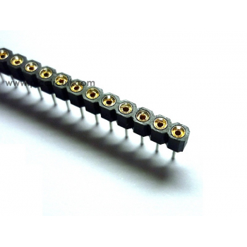 SIP Socket (2.54mm, Straight, 1x40 Way)