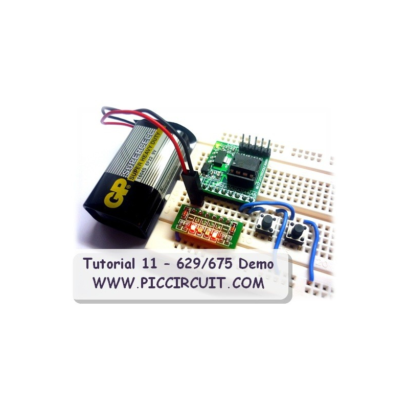 Tutorial 11 - 629/675 IO & ADC Demo (Free)